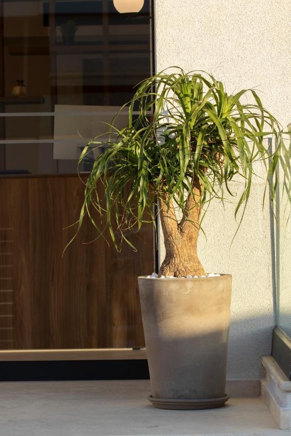 Arente Apartments Lefkáda 外观 照片